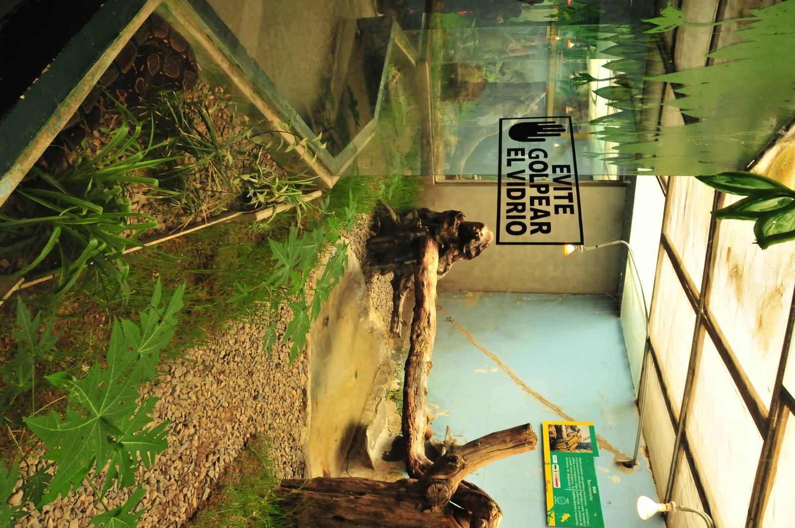 Stylish snaky Reptile house