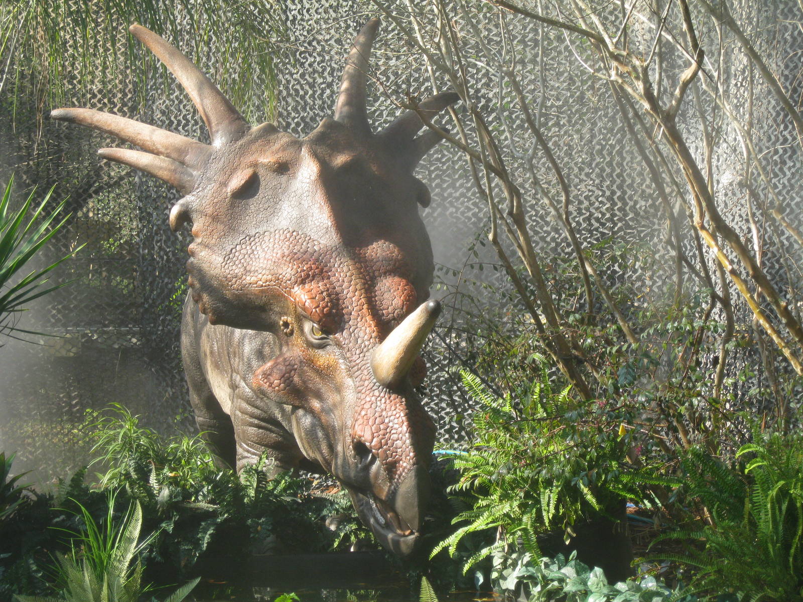Styracosaurus