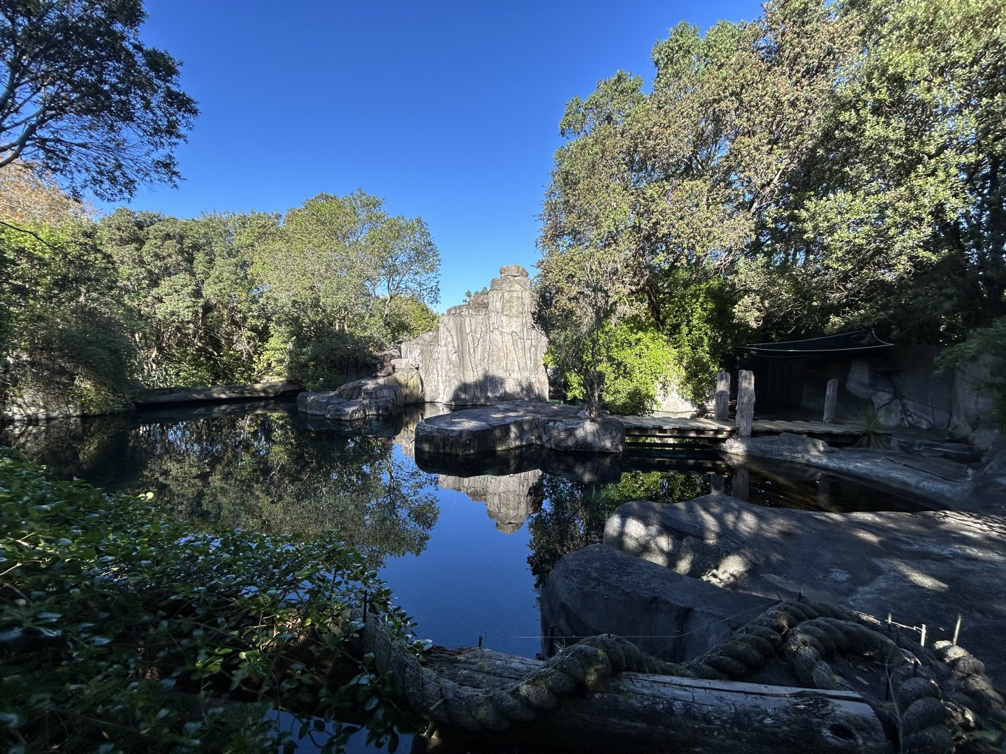 Sub-Antarctic Fur Seal Exhibit - Te Wao Nui