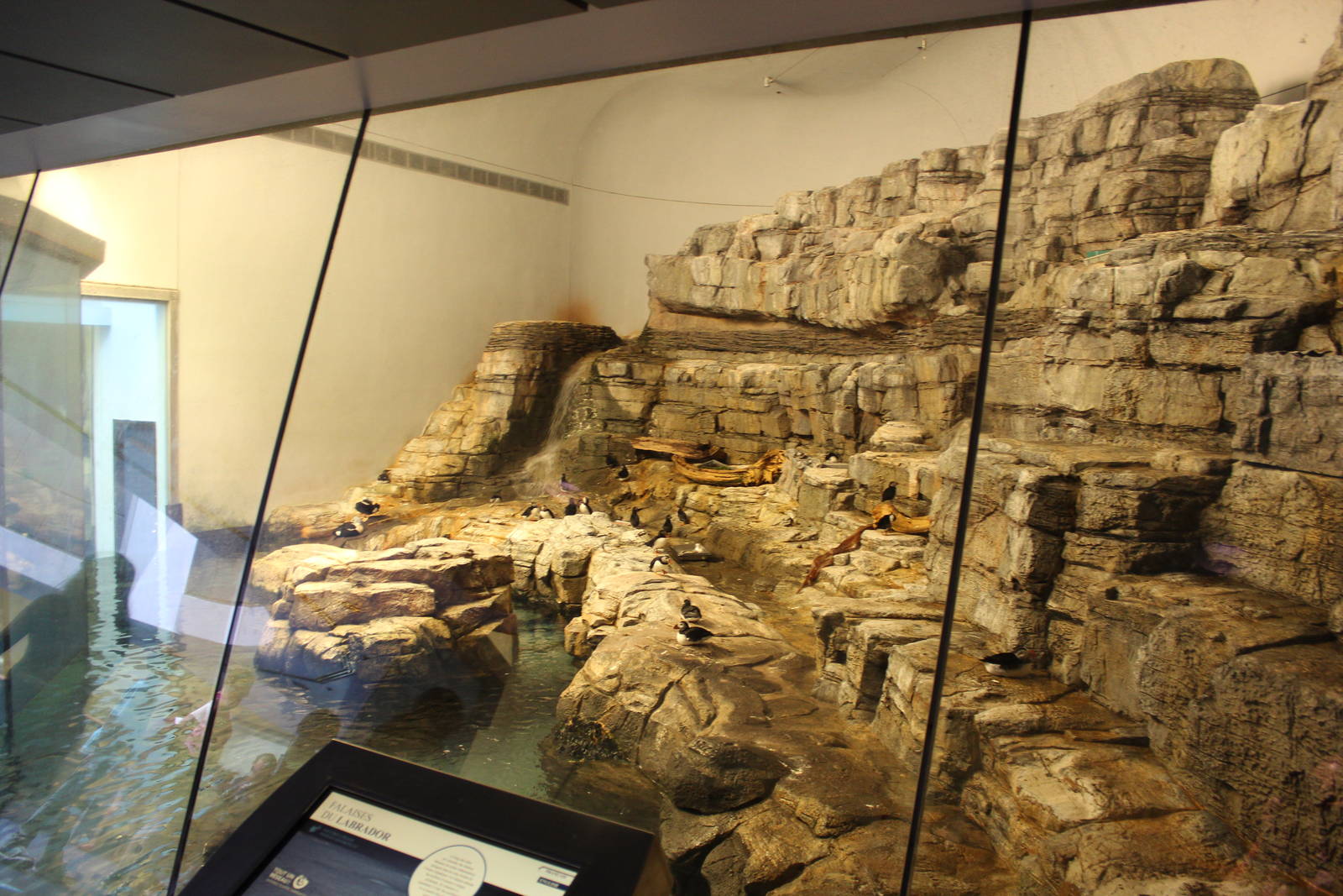 Sub-polar Hall, Labrador Coast Exhibit - June 2016