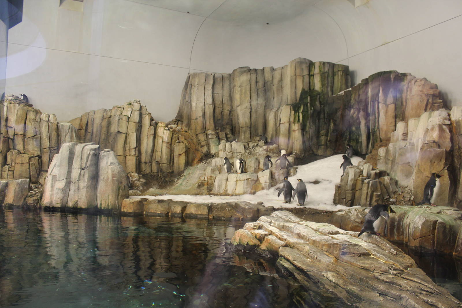 Sub-polar Hall, Penguin Exhibit - June 2016