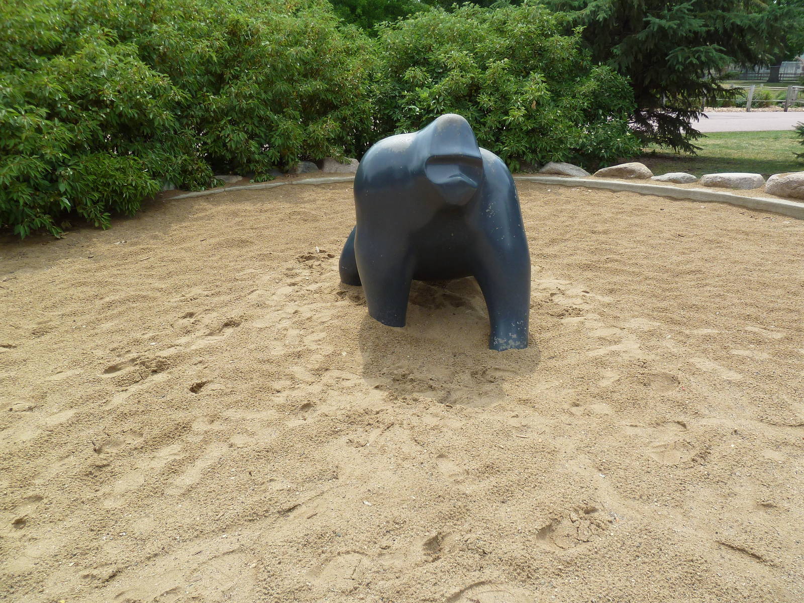 Sub-Saharan Sand Gorilla