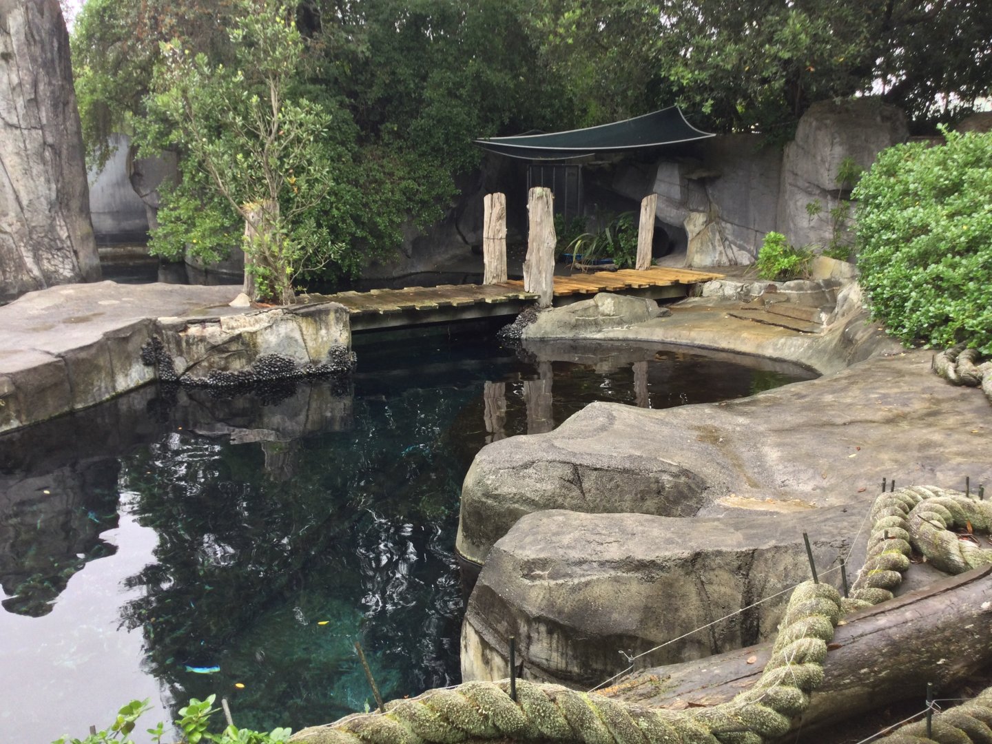 Subantarctic Fur Seal Exhibit (Jetty)