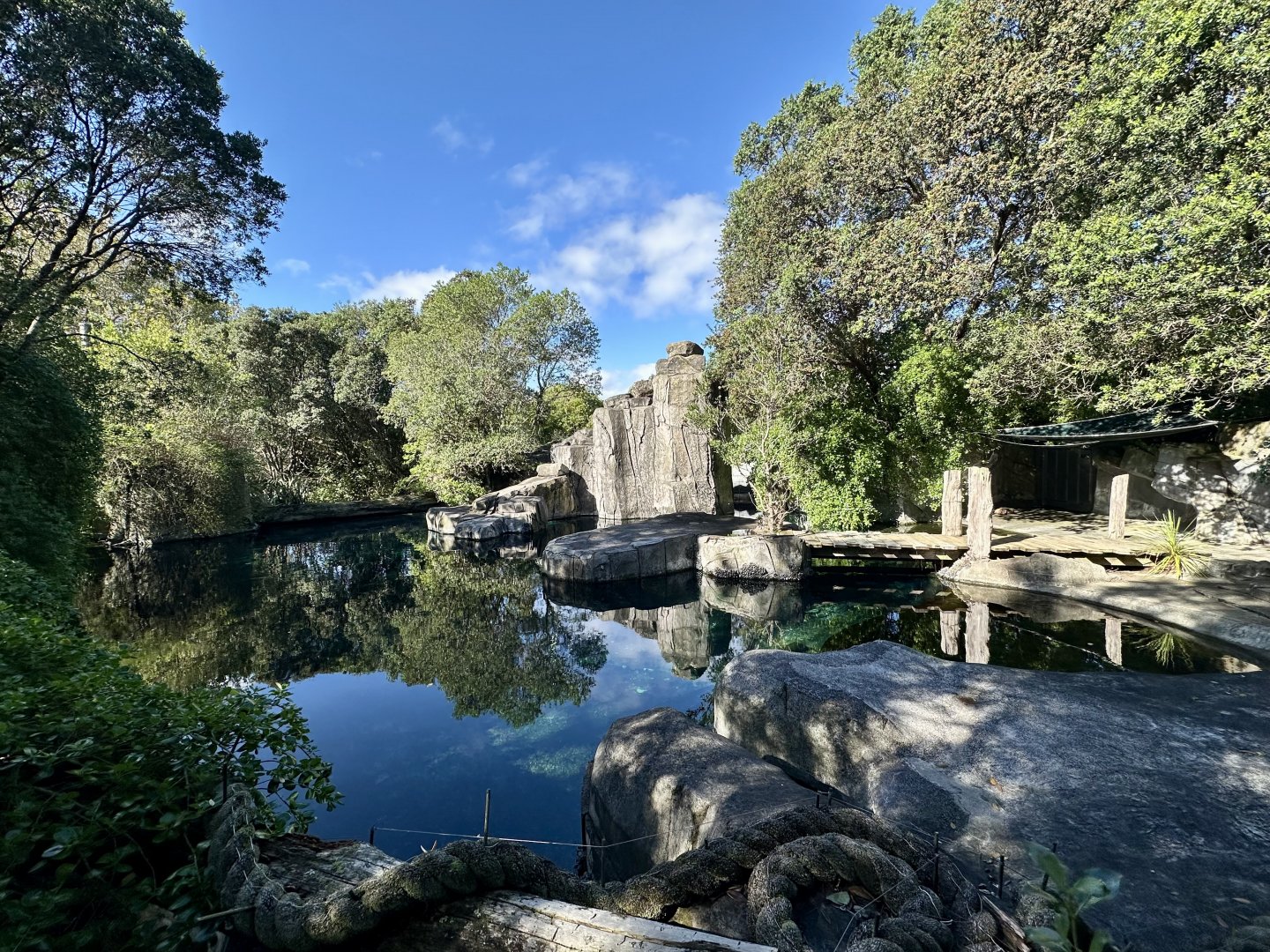 Subantarctic Fur Seal Exhibit