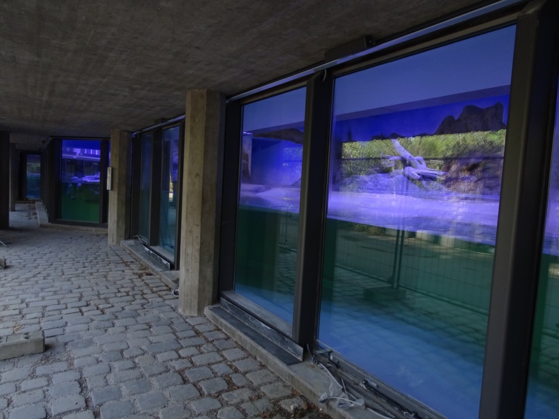 Subantarctic penguin enclosure (under construction)