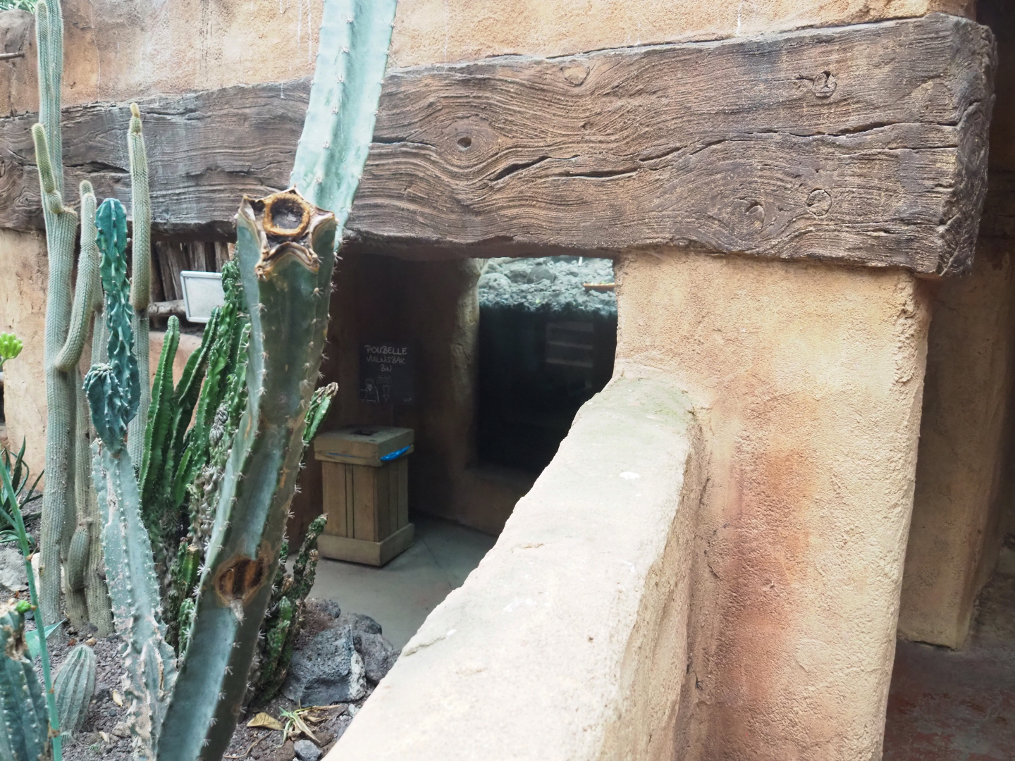 Subterranean meerkat viewing area (Former Asian small-clawed otter underwater viewing area), 2022-09-14