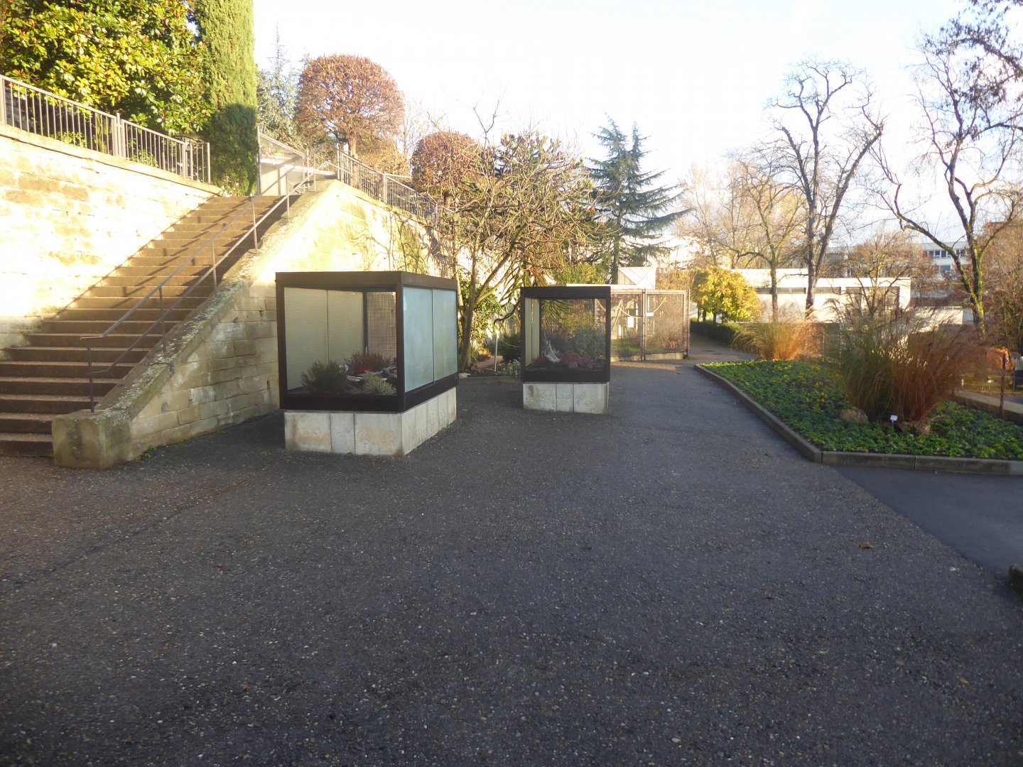 Subtropenterrassen 011218