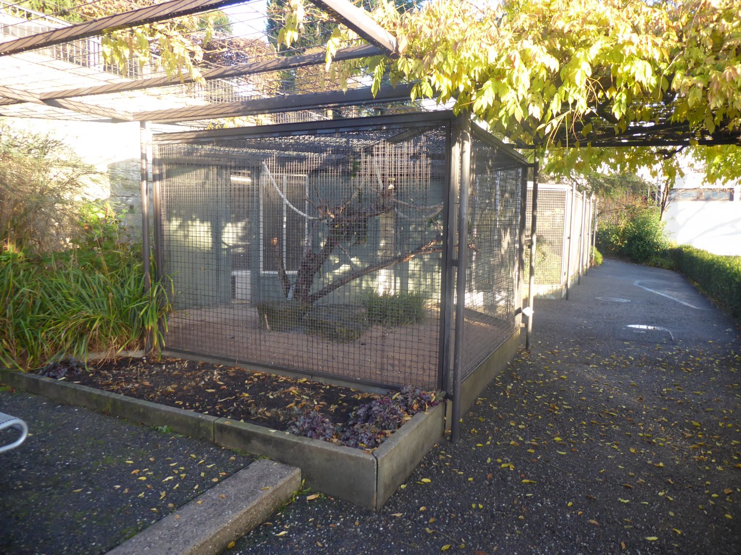 Subtropenterrassen - Aviaries 011218