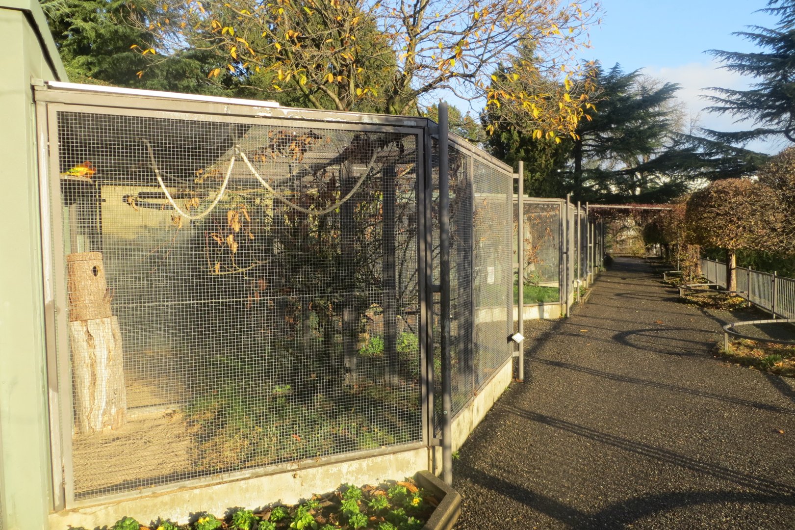 Subtropenterrassen - Aviaries 011218