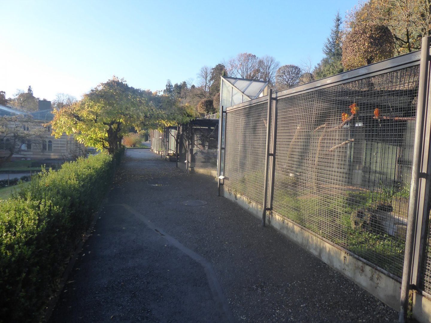 Subtropenterrassen - Aviaries 011218