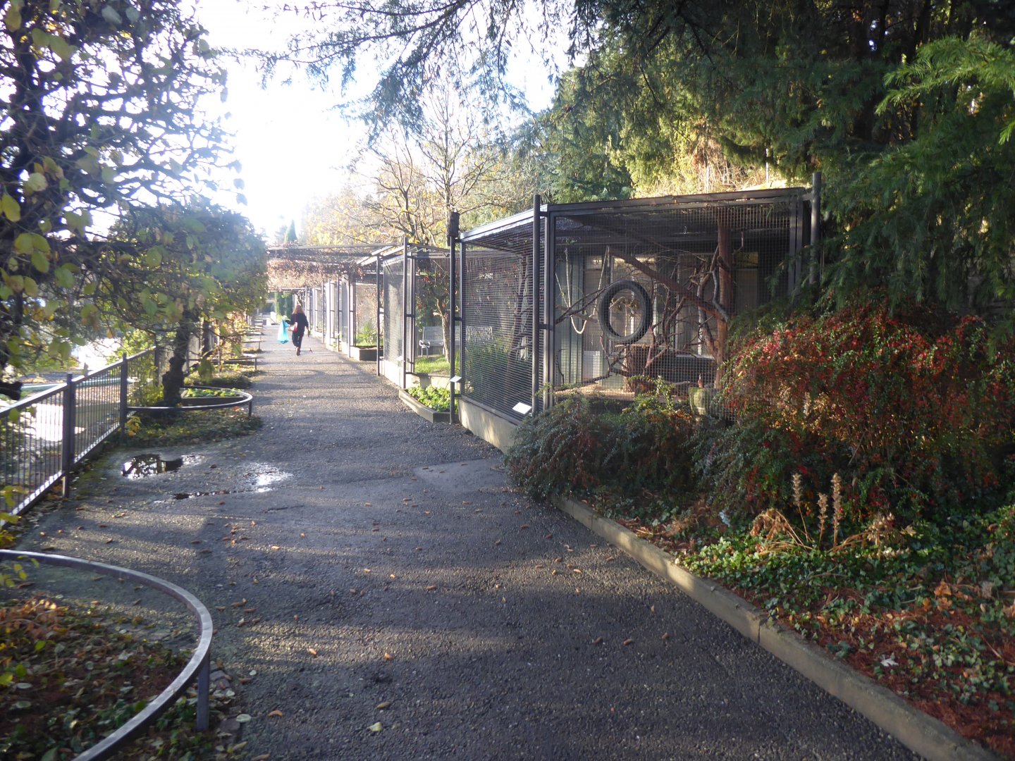 Subtropenterrassen - Aviaries 011218