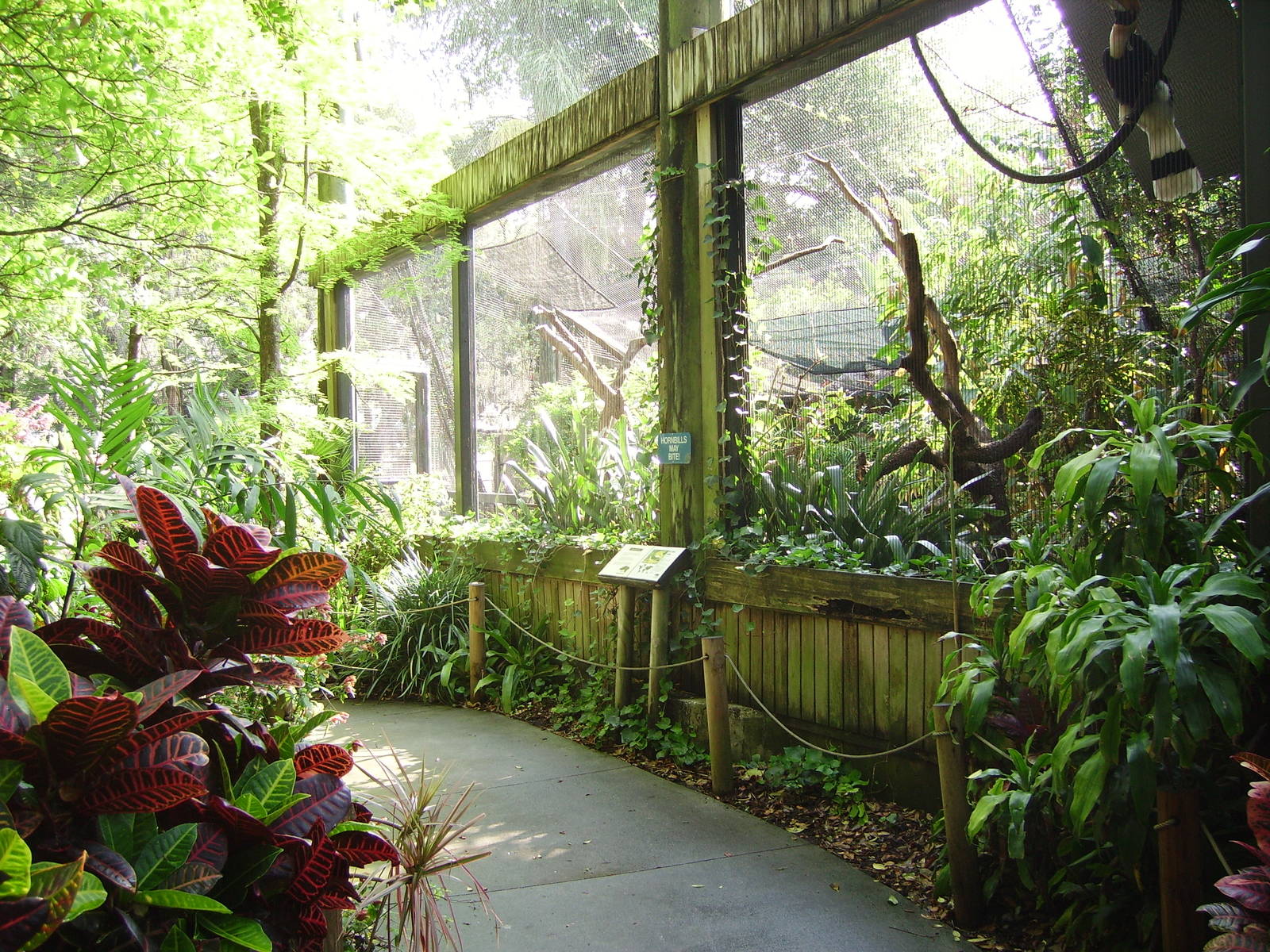 Subtropical Aviary