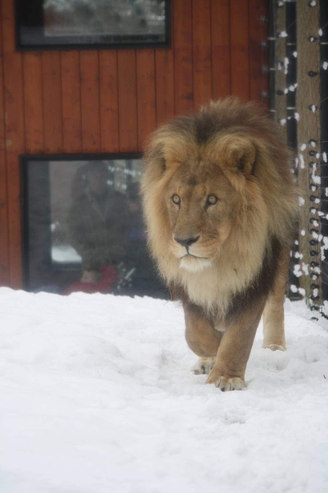 Subu 21 December 2009