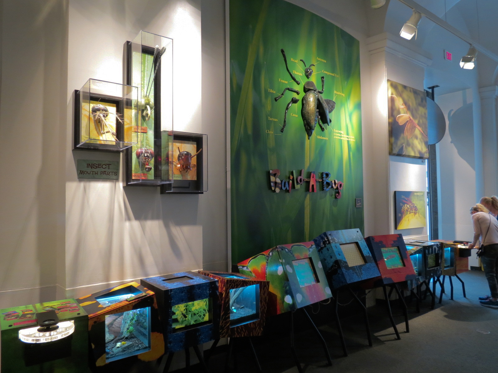 Success Stories Gallery - Interior