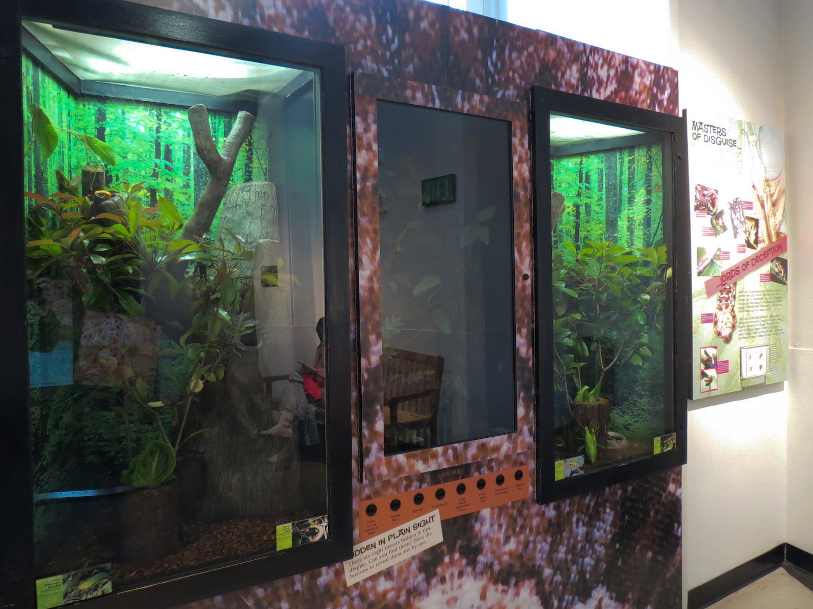 Success Stories Gallery - Wall Exhibits