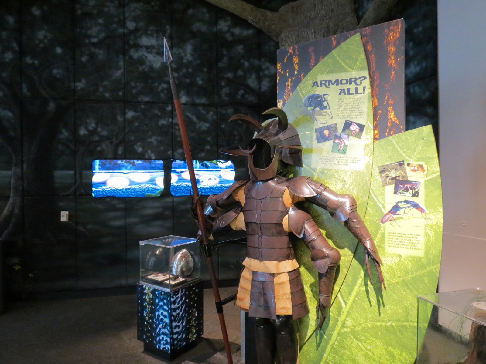 Success Stories Gallery