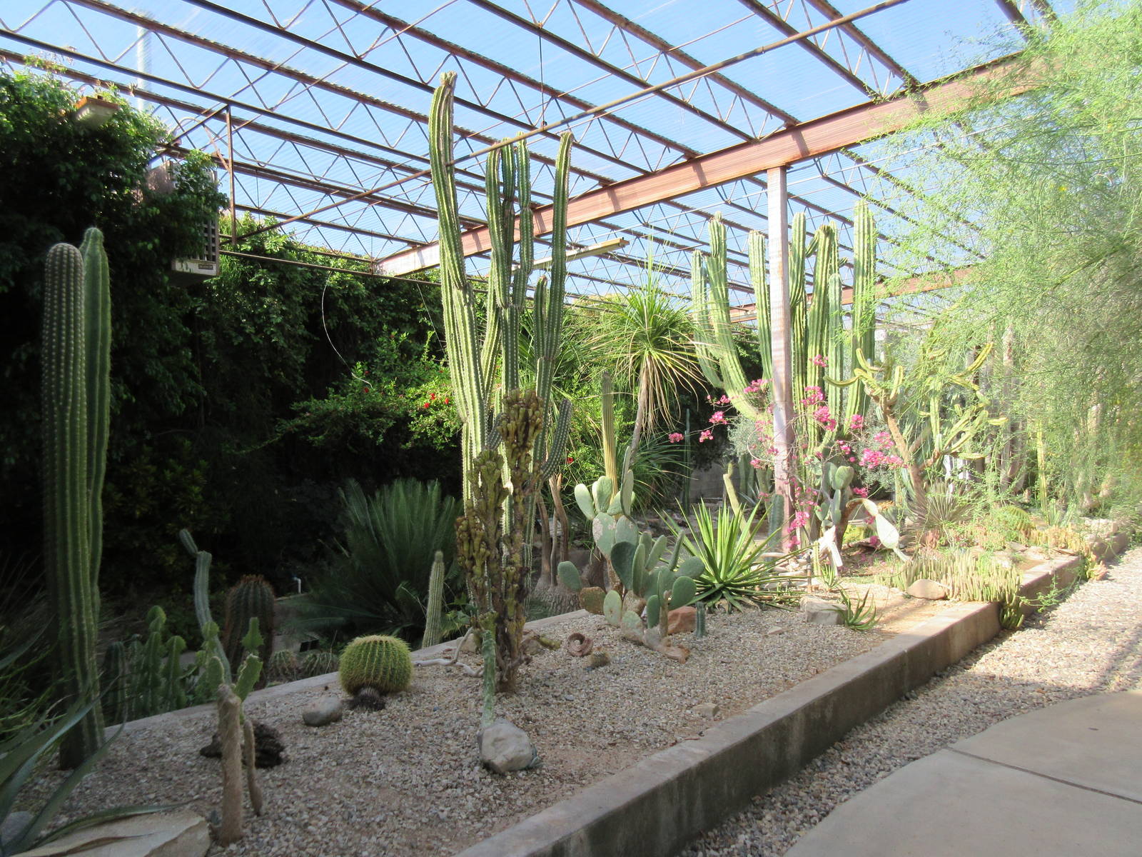 Succulents of the World Building