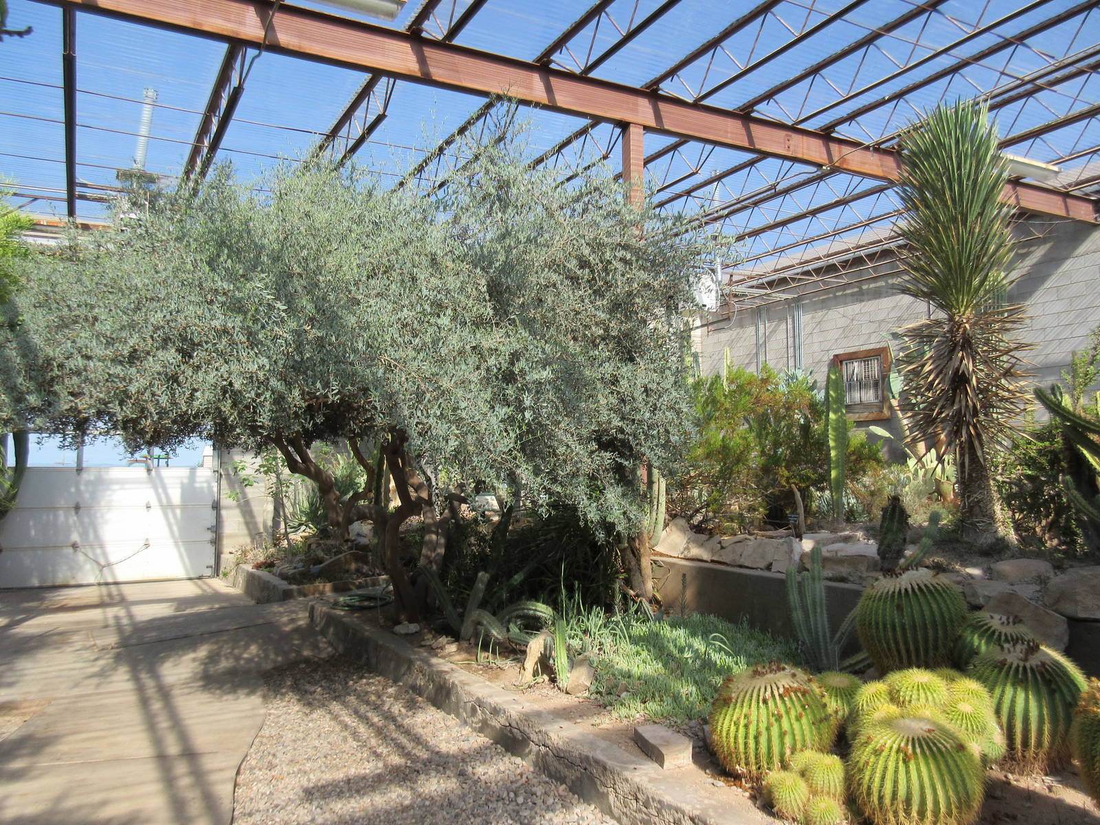 Succulents of the World Building