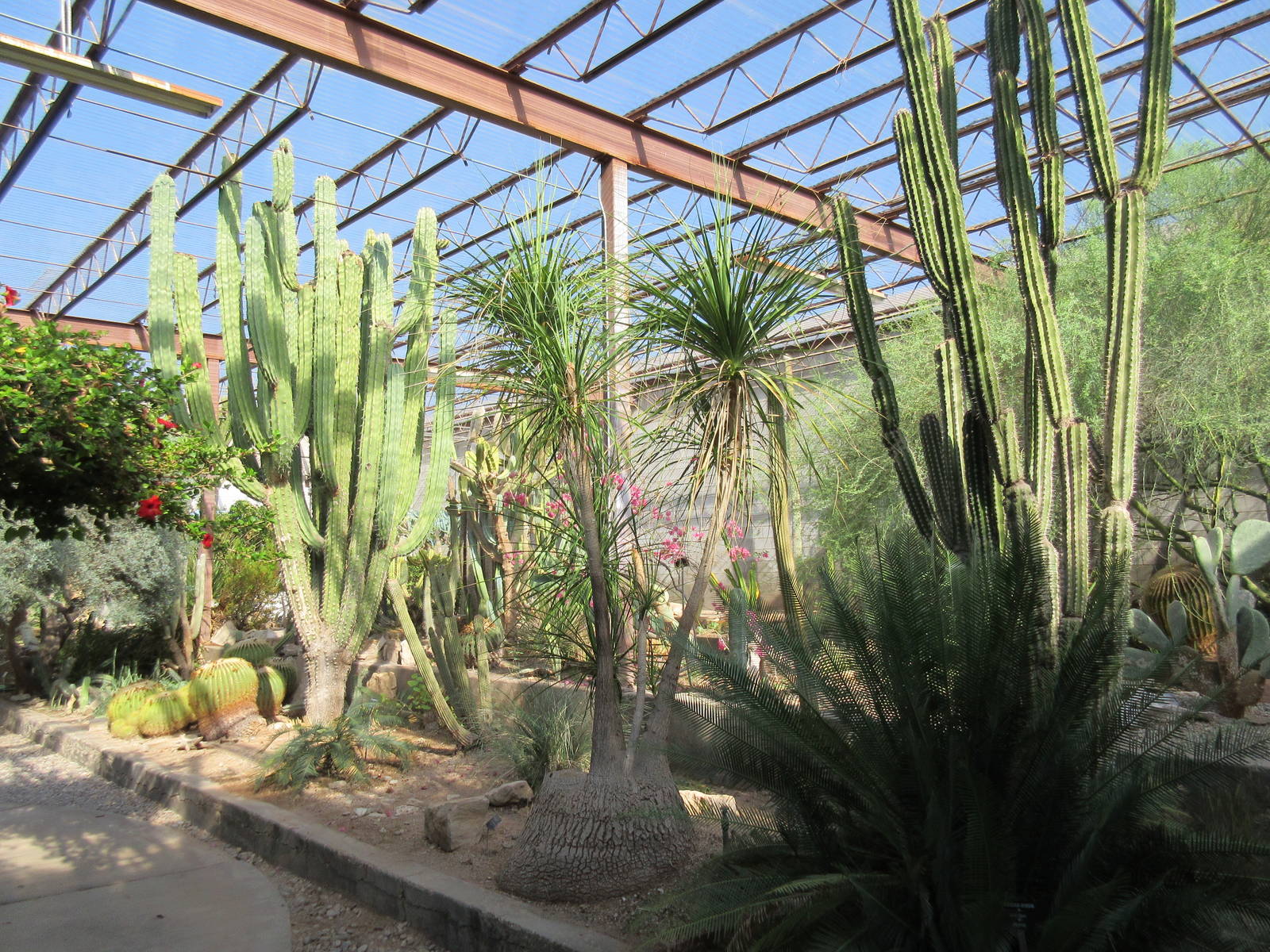 Succulents of the World Building