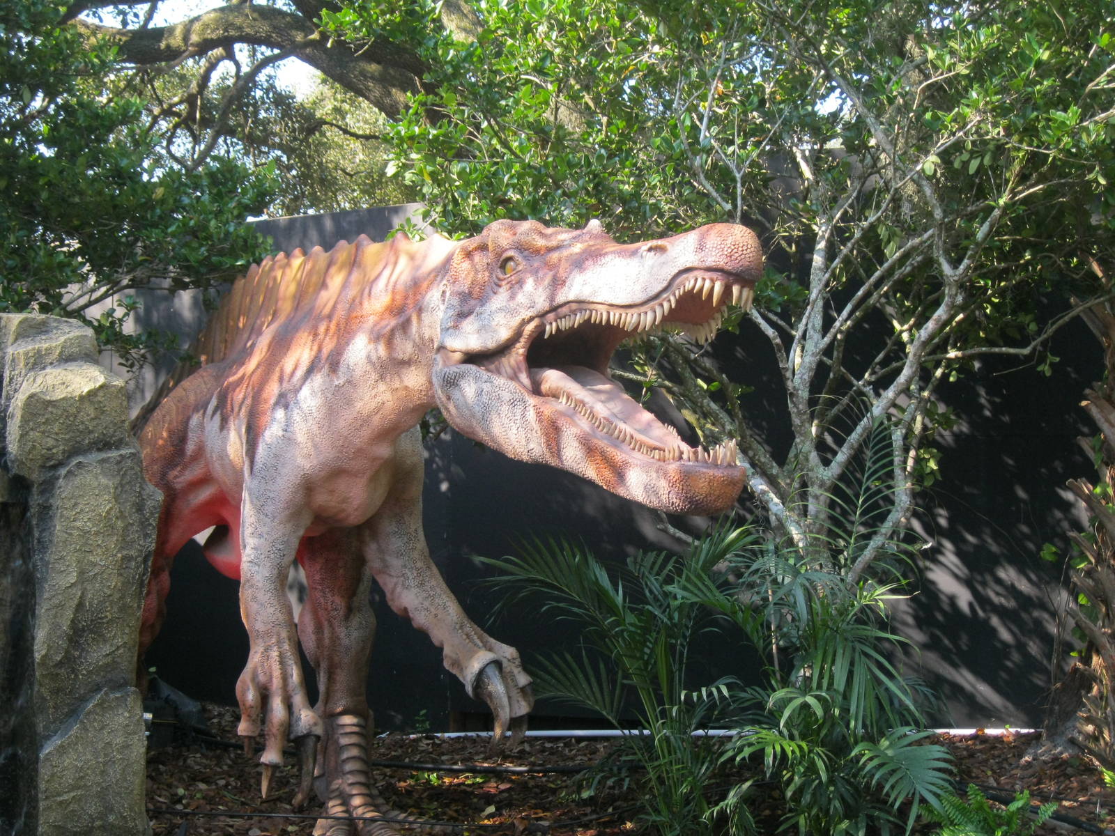 Suchomimus