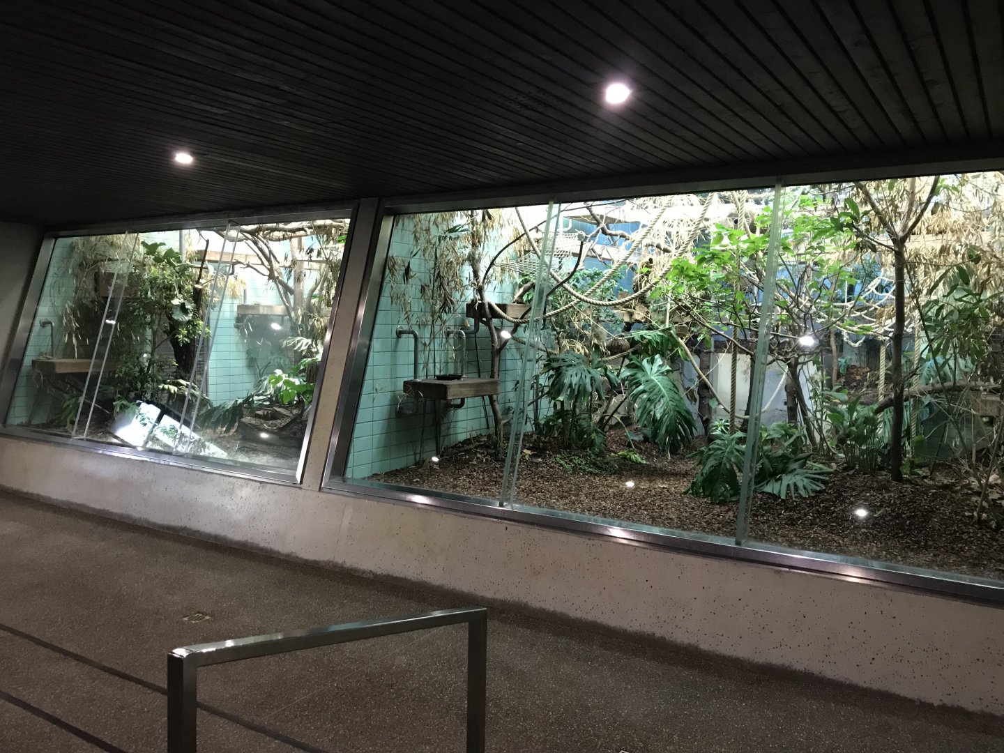 'Sudamerikahaus' exhibits 011218