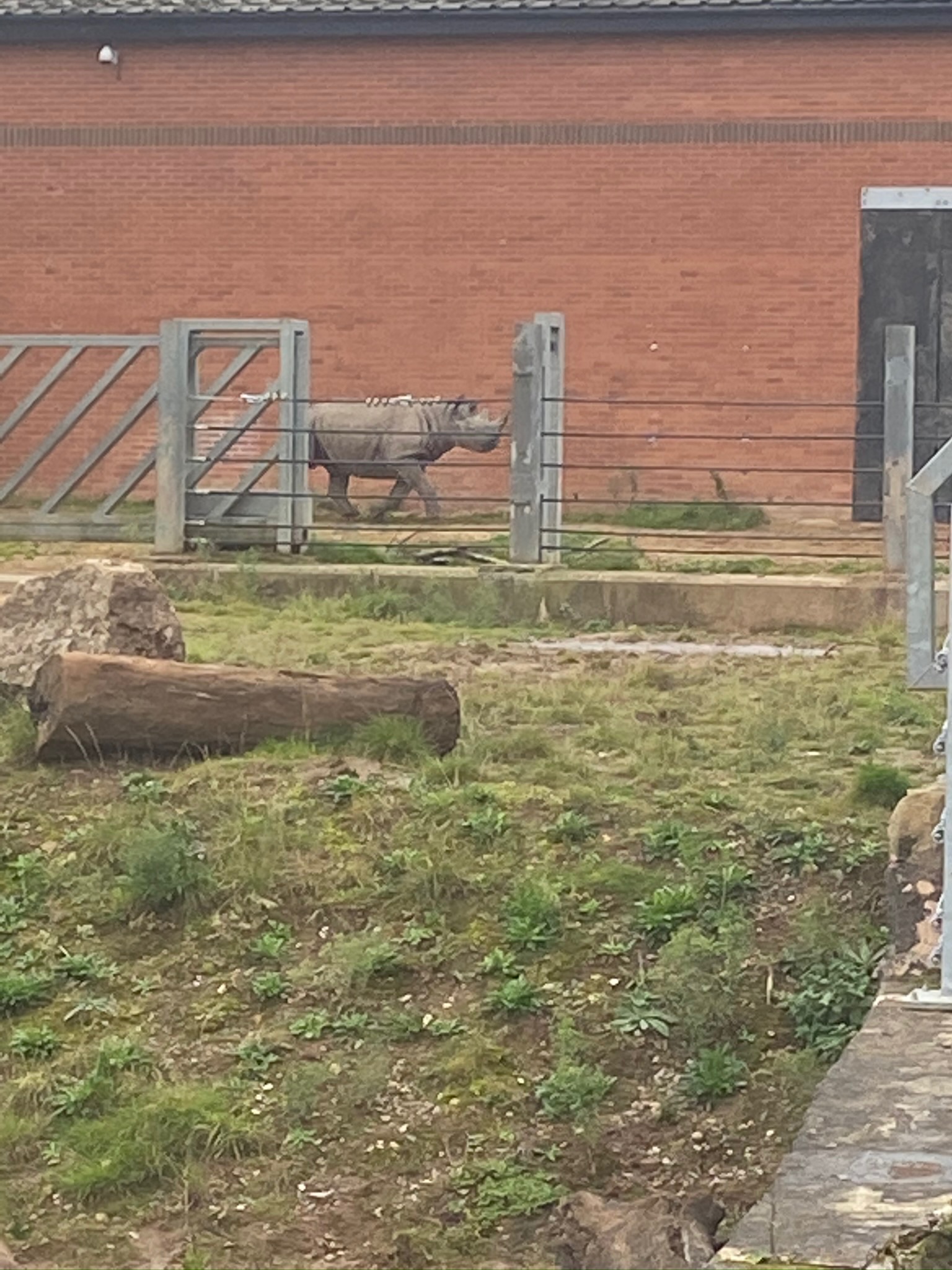 Sudan charging about