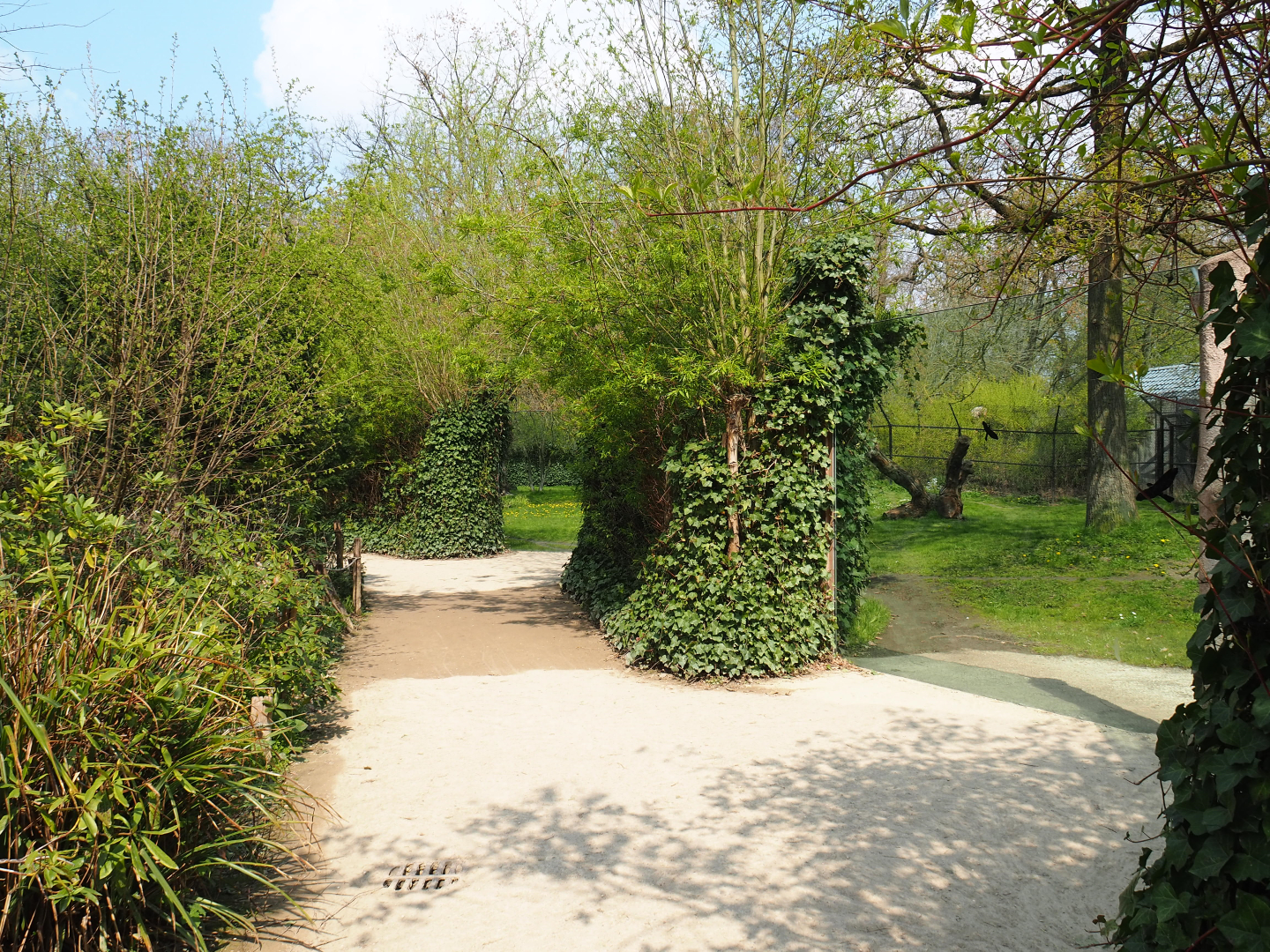 Sudan cheetah viewing areas, 2021-04-20