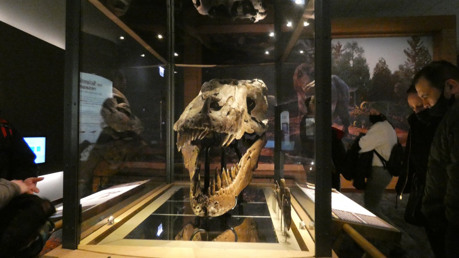 Sue's Real Skull, Evolving Planet - Feb. 2022