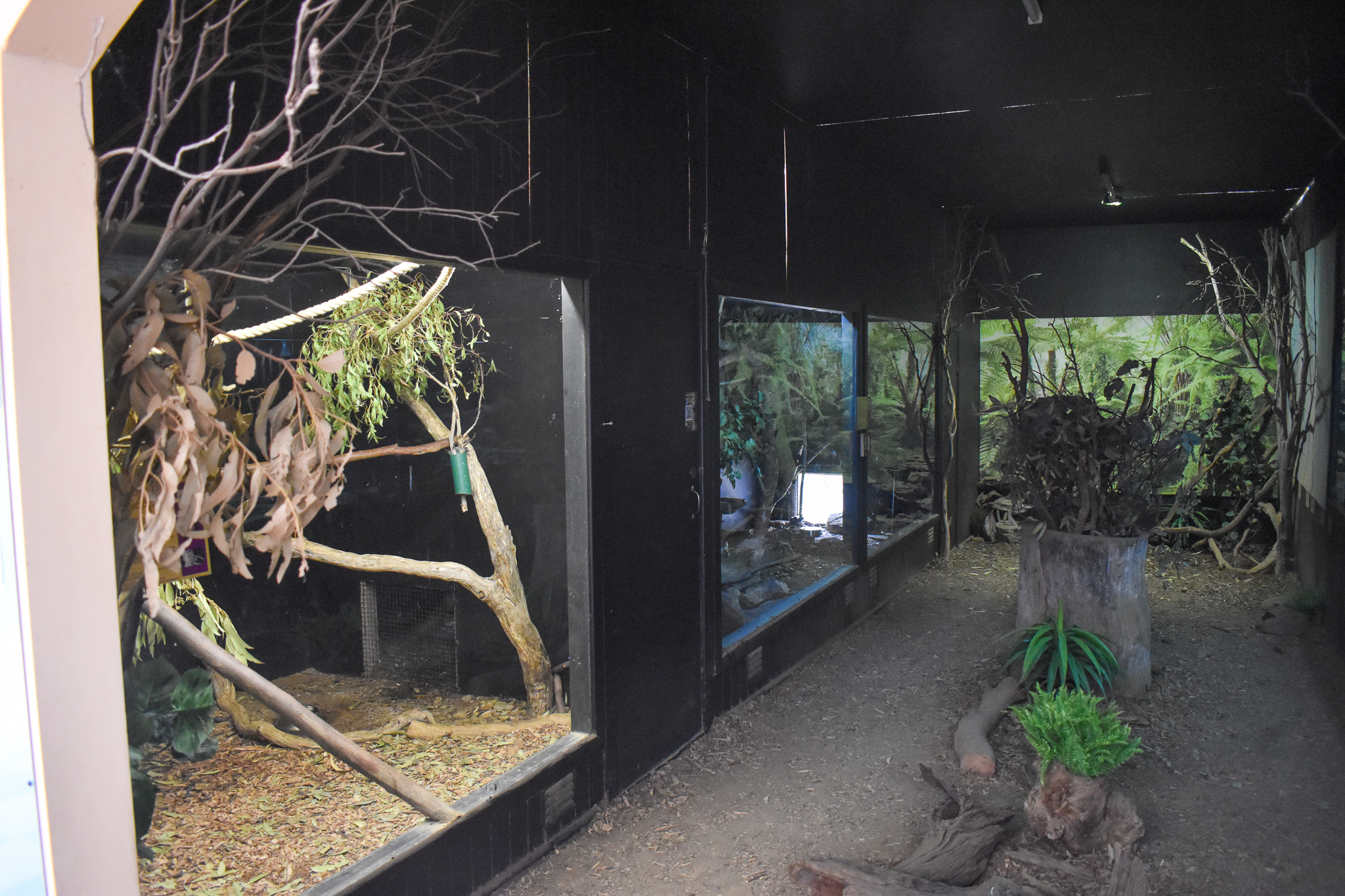Sugar Glider / Brushtail Possum enclosures