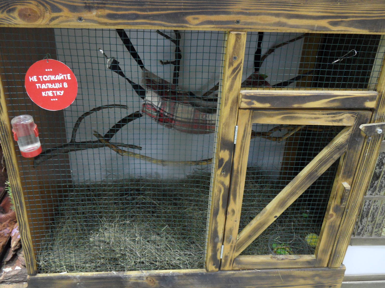 Sugar glider cage