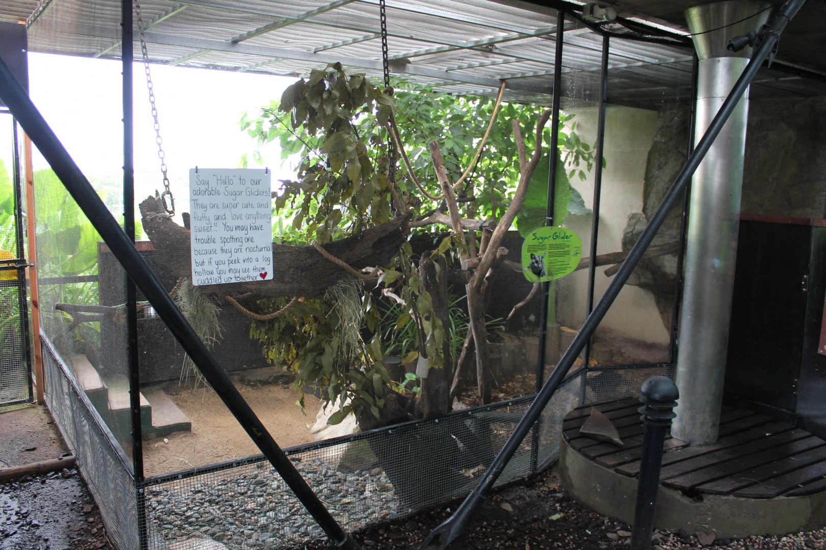 Sugar Glider enclosure