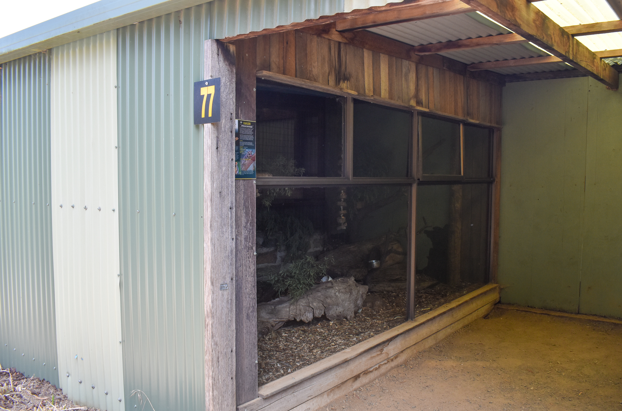 Sugar Glider enclosure