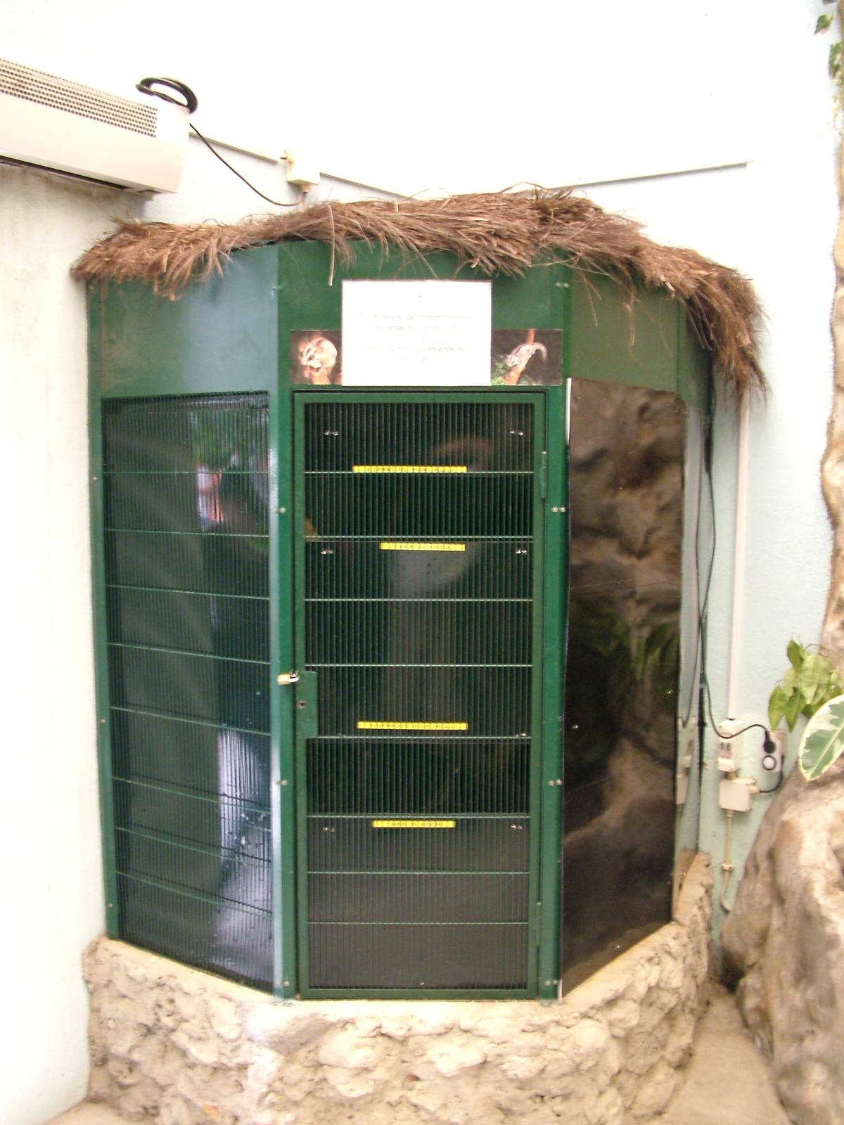 Sugar Glider Exhibit at Lisbon Zoo, 24/05/11