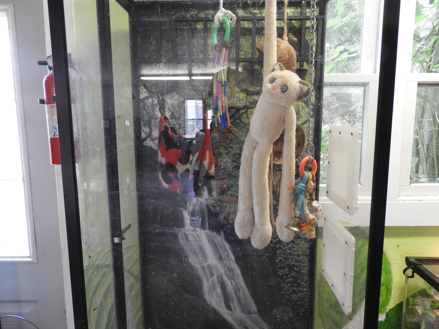 Sugar Glider exhibit - Reptile Room - Special Memories Zoo