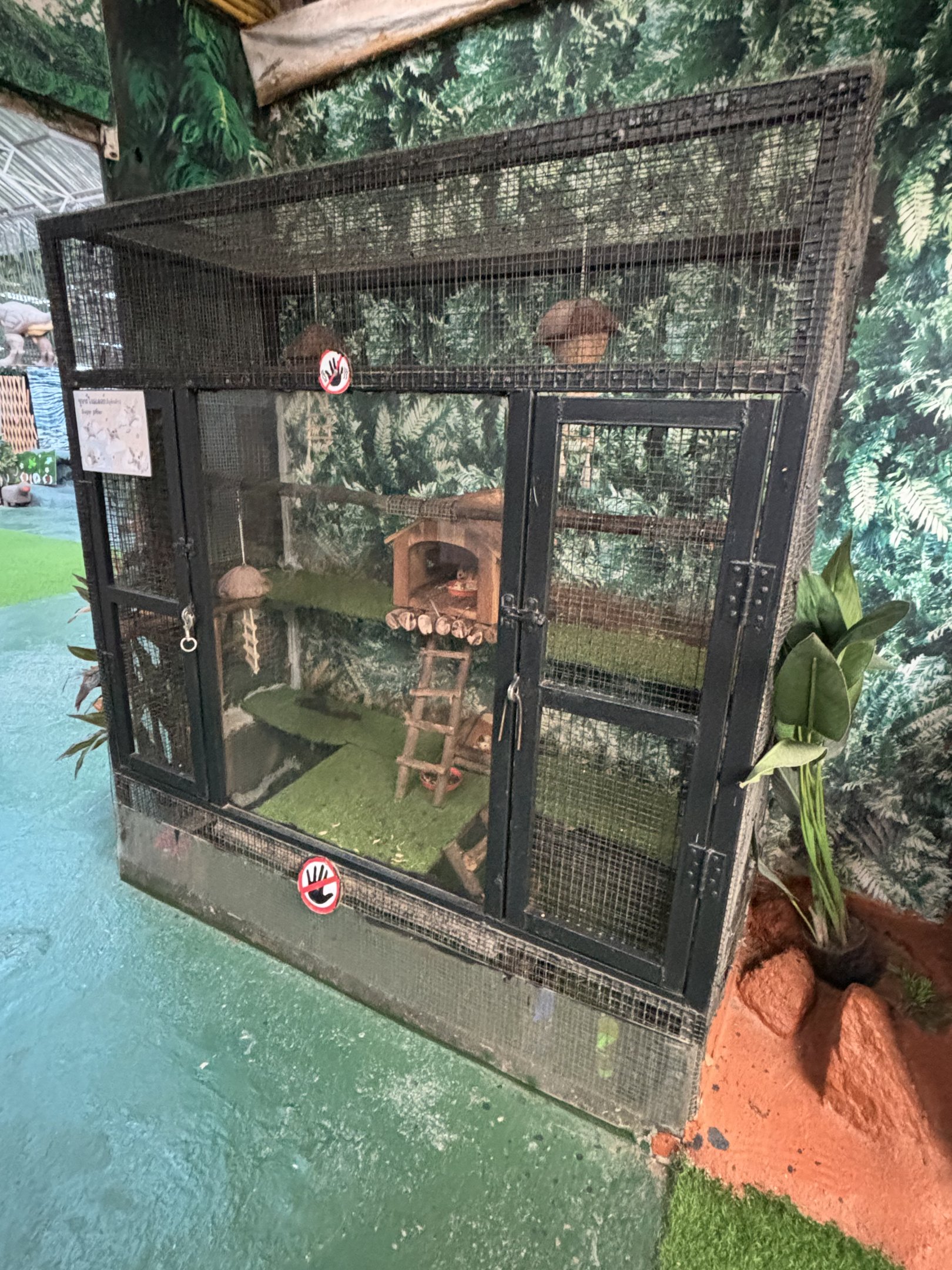 Sugar Glider Exhibit