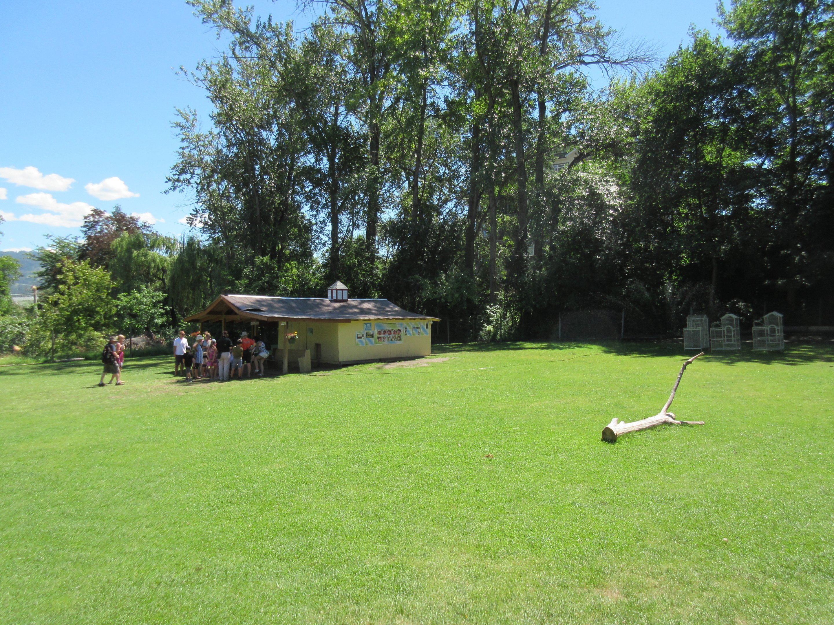 Sugar Glider Presentation Area