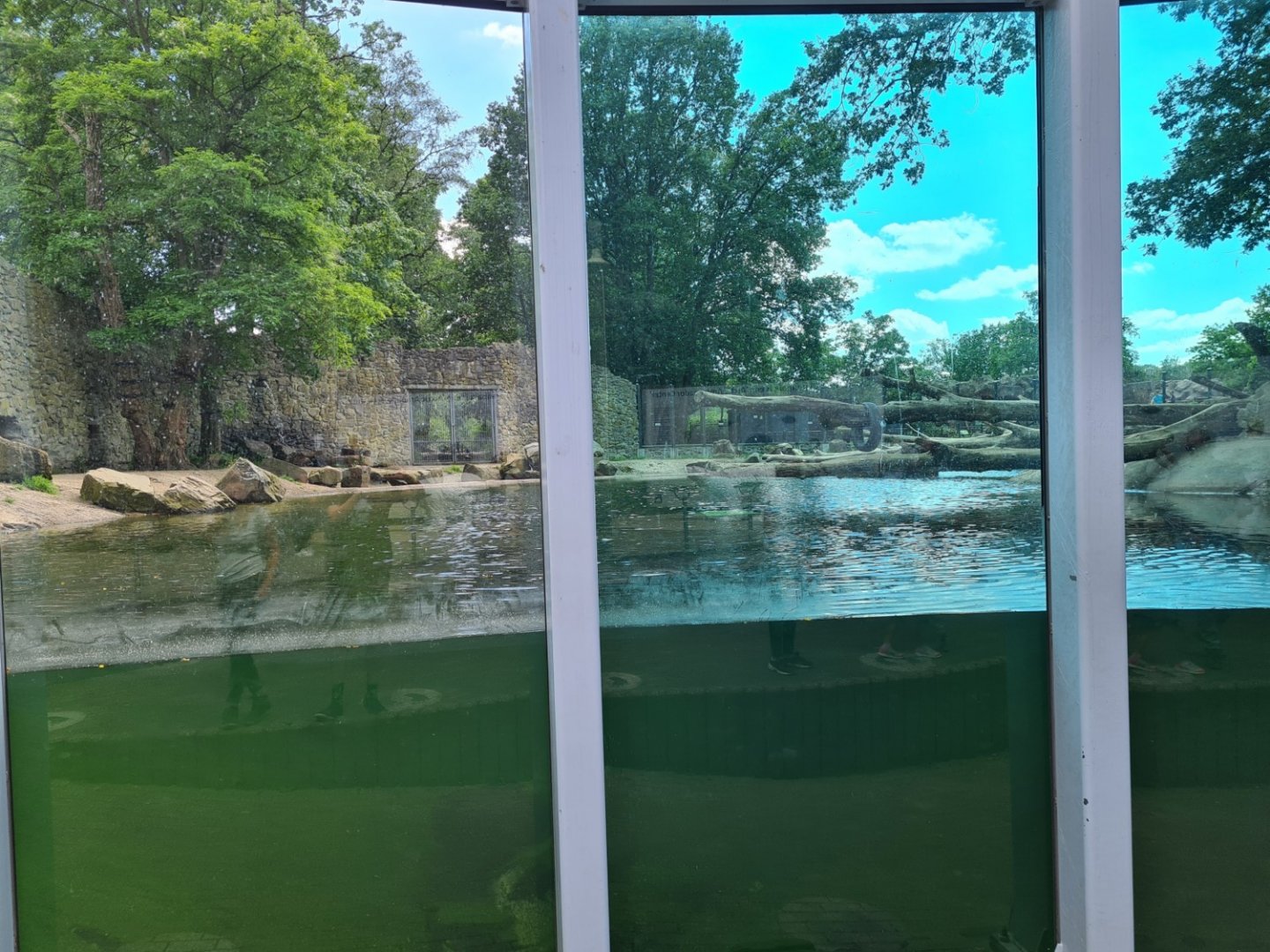 "Suicide" hotspot - Polar bear exhibit