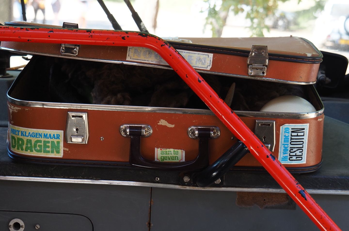 Suitcase with animal materials on the safari bus, 2019-09-15