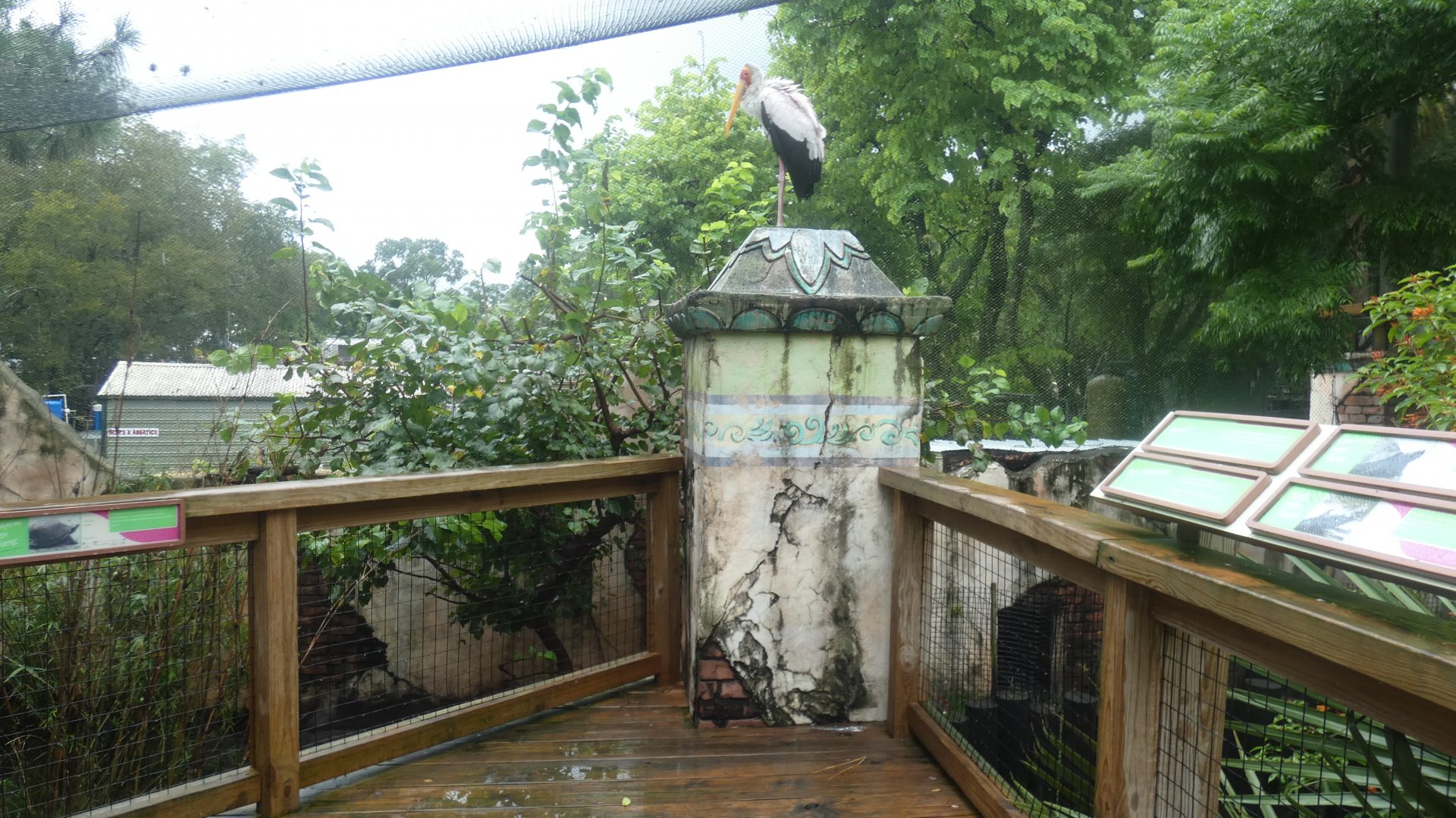 Sulawesi Aviary, Asian Gardens - Aug. 2021