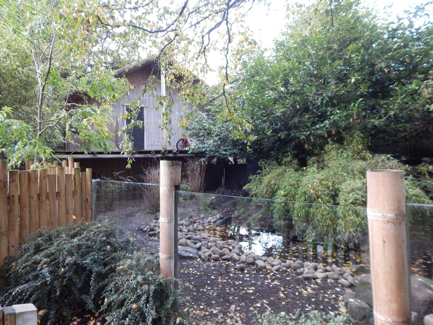 Sulawesi babirusa and Asian small-clawed otter enclosure 221022