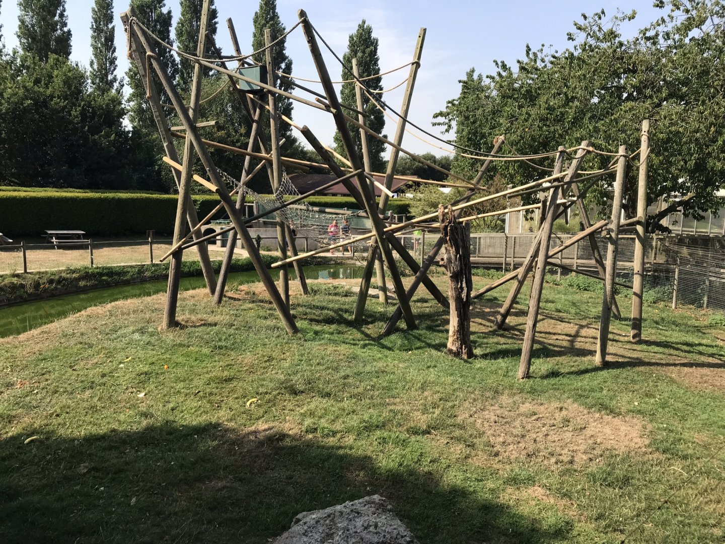 Sulawesi crested macaque enclosure 070818