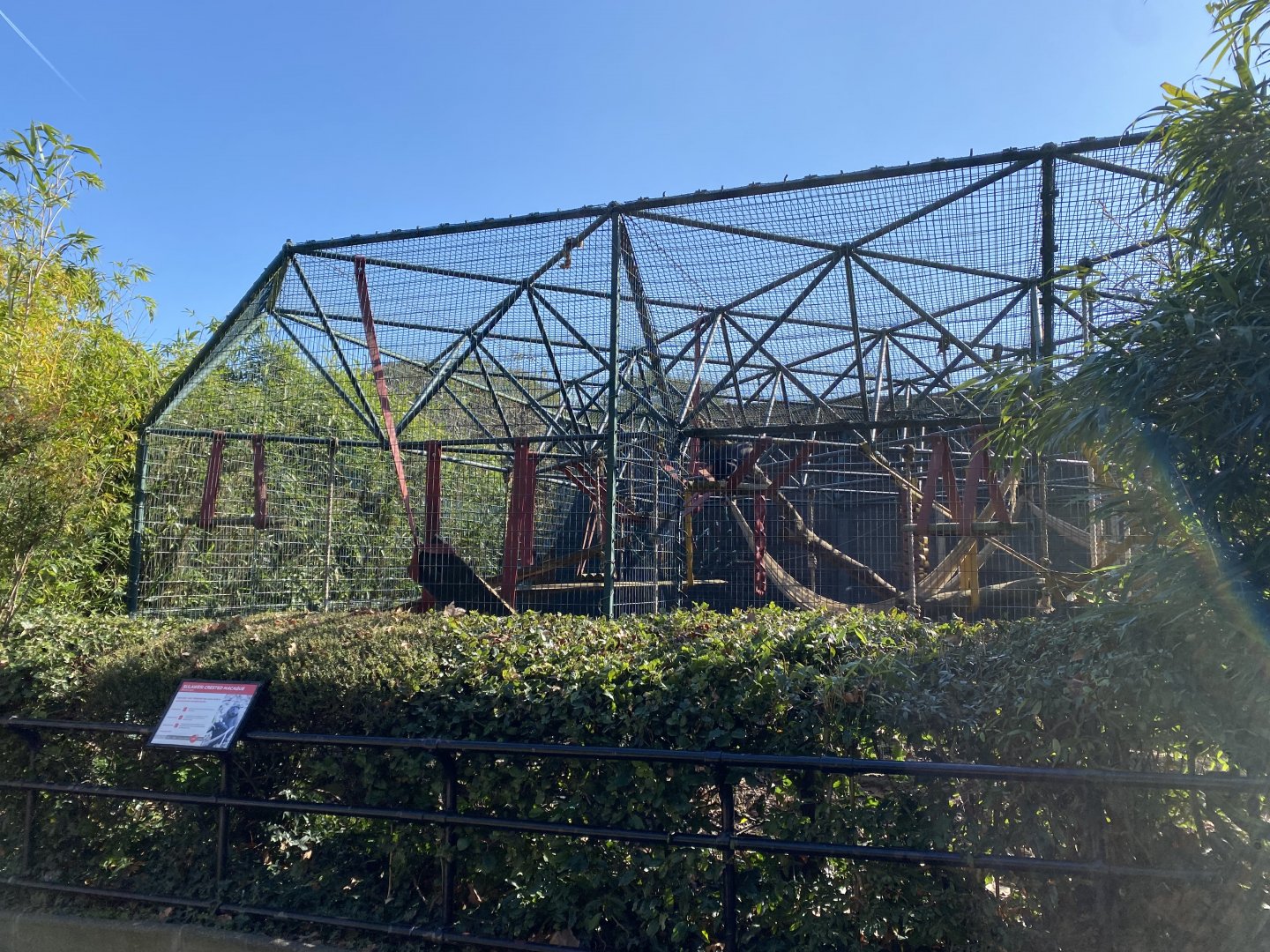 Sulawesi crested macaque enclosure 180322