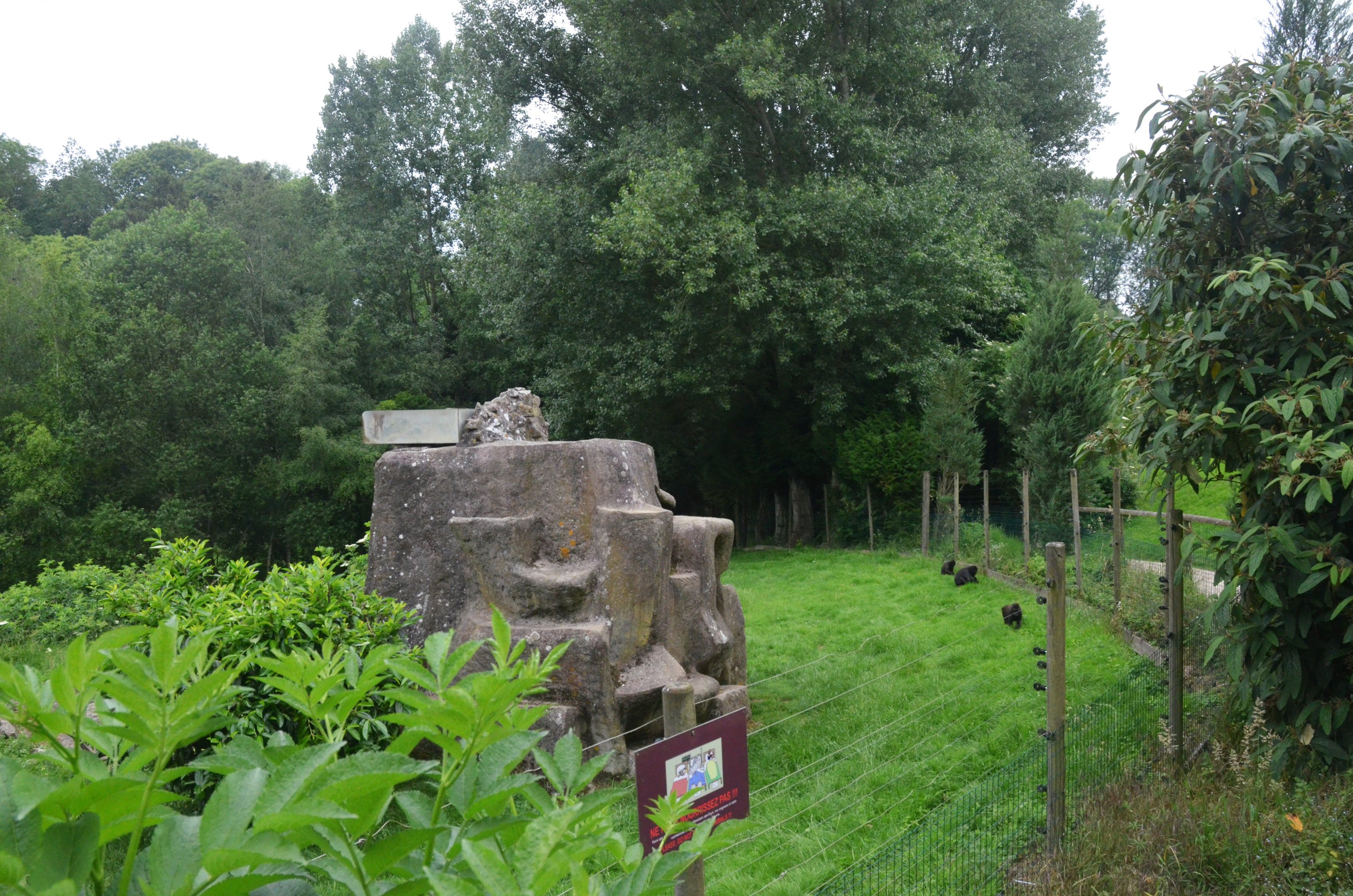 Sulawesi Crested Macaque Enclosure at CERZA, 10/06/18