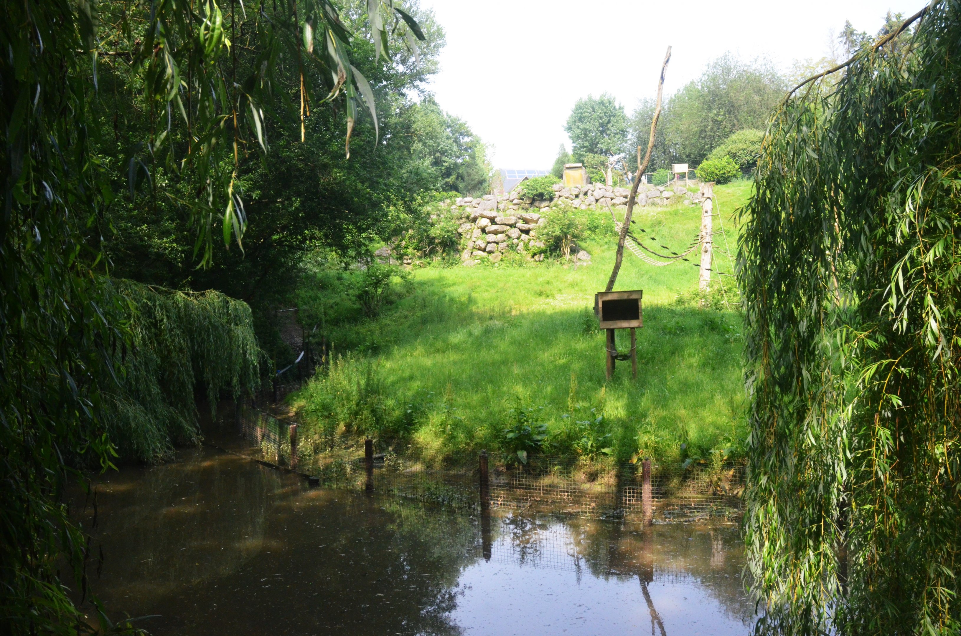Sulawesi Crested Macaque Enclosure at CERZA, 10/06/18