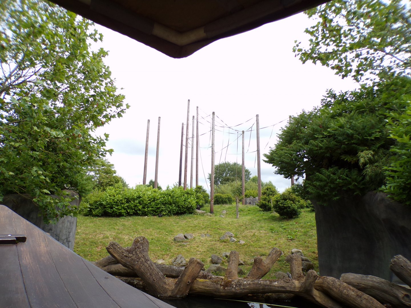 Sulawesi crested macaque enclosure from the riverboat 29.6.24
