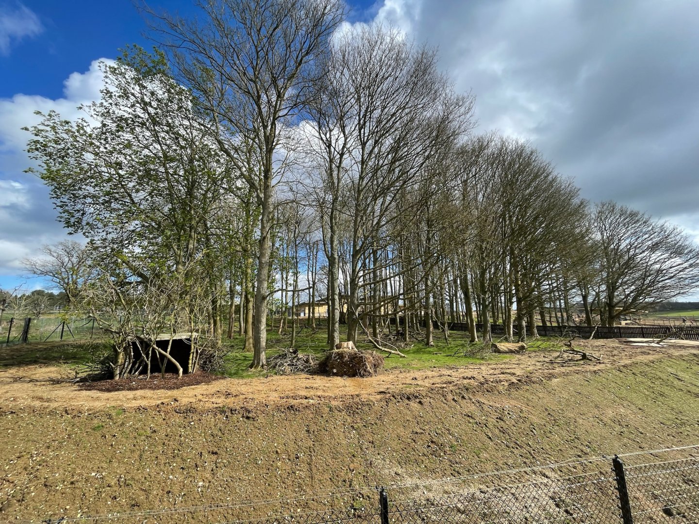 Sulawesi crested Macaque Enclosure, Monkey Forest
