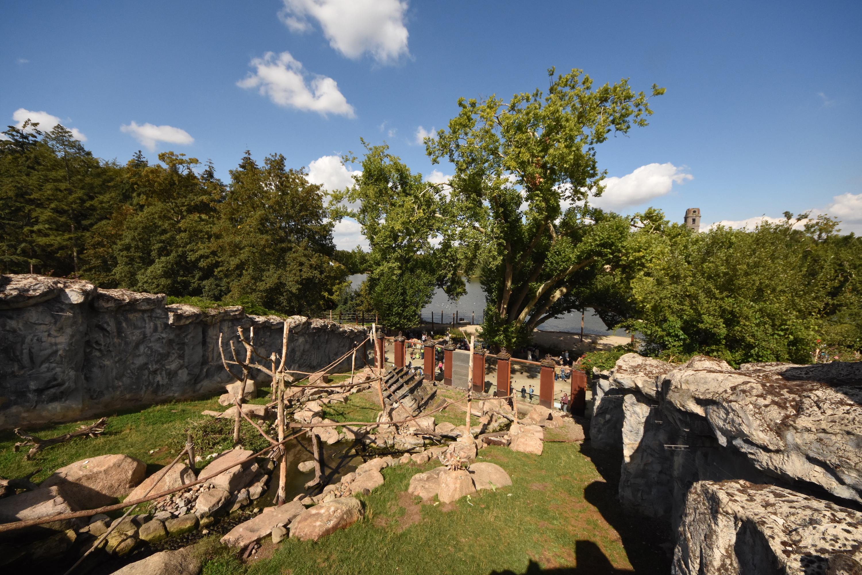Sulawesi crested macaque enclosure
