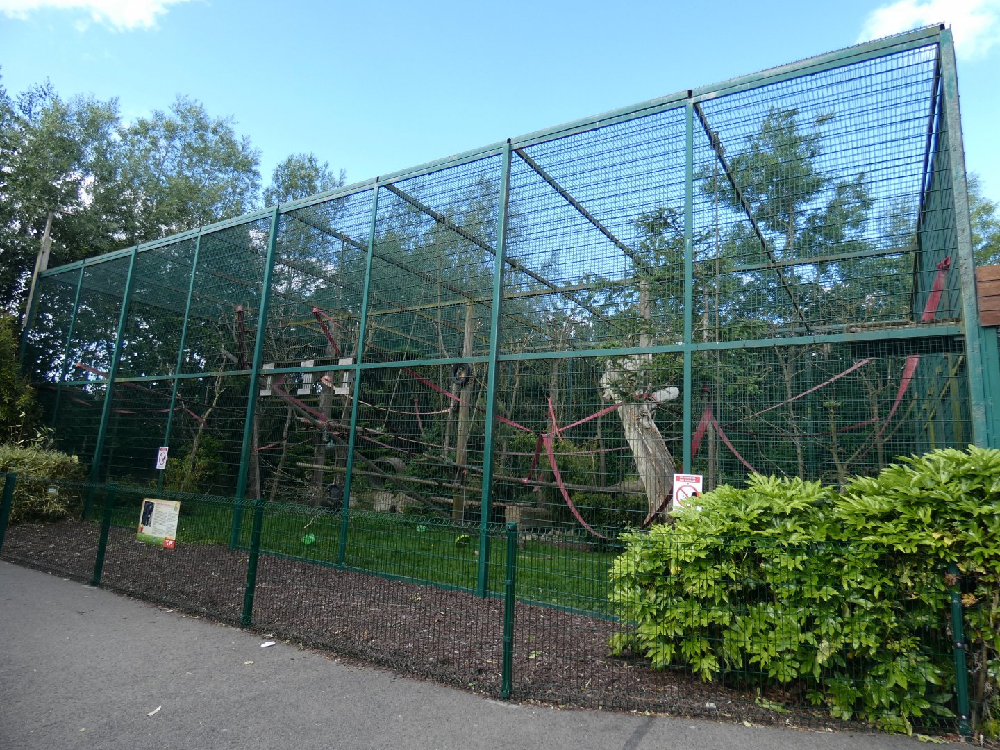 Sulawesi crested macaque enclosure