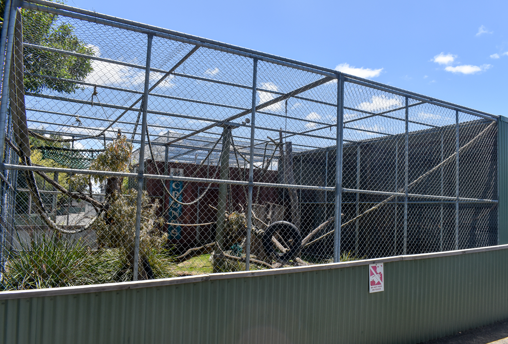 Sulawesi Crested Macaque enclosure