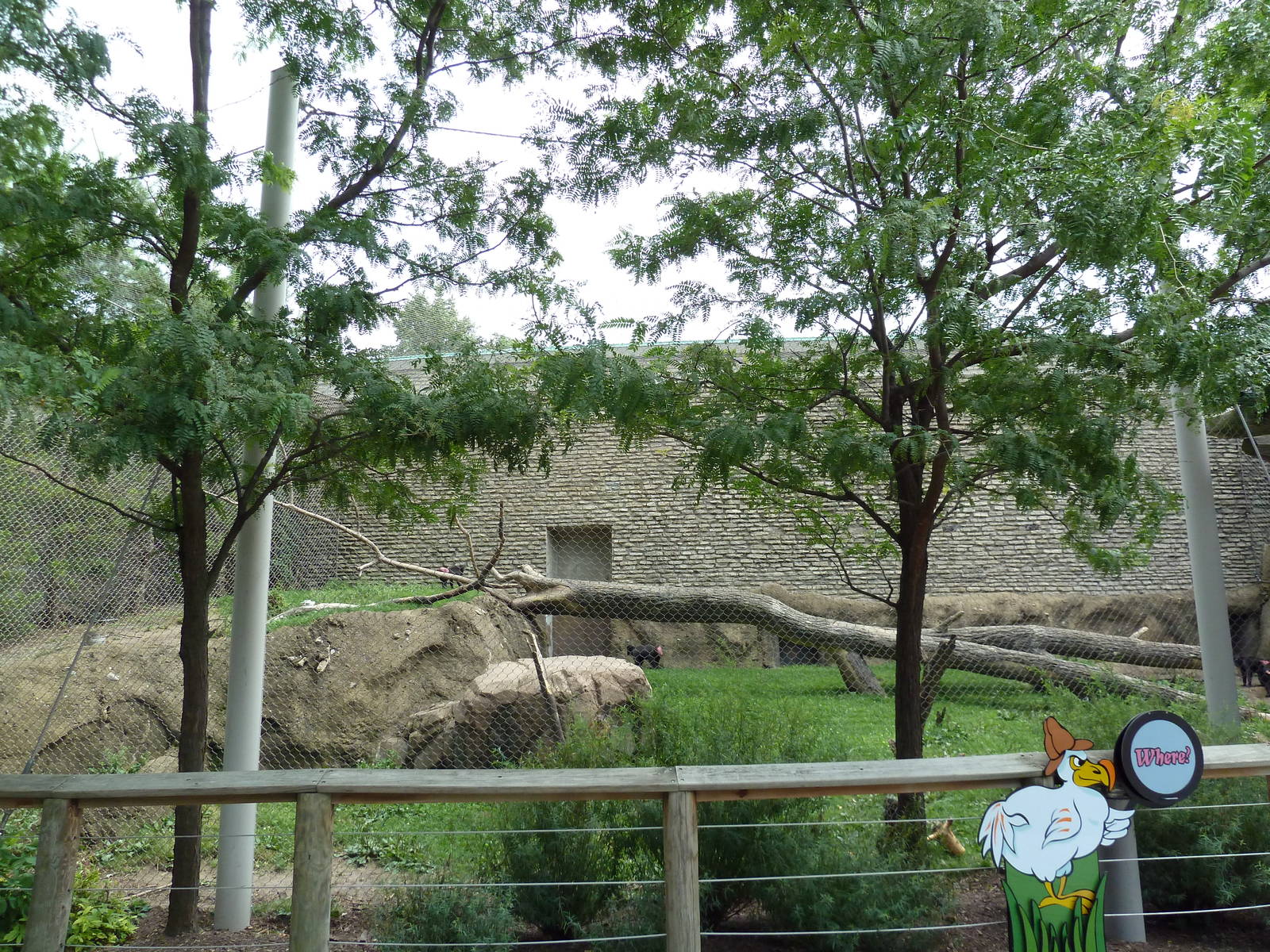 Sulawesi Crested Macaque Exhibit